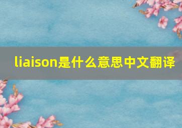 liaison是什么意思中文翻译