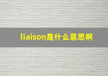 liaison是什么意思啊