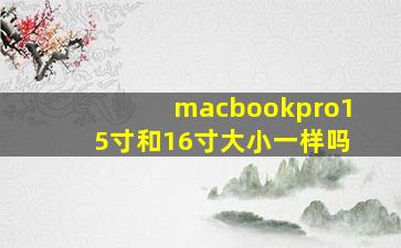 macbookpro15寸和16寸大小一样吗