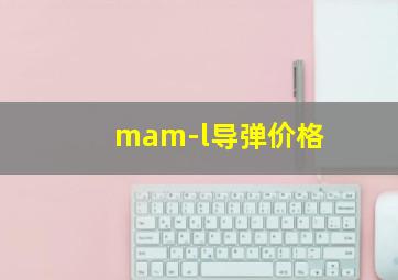 mam-l导弹价格