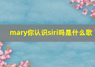 mary你认识siri吗是什么歌