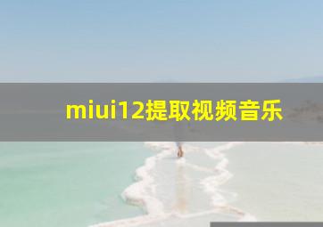 miui12提取视频音乐