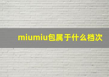 miumiu包属于什么档次