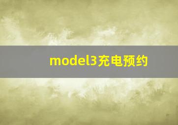 model3充电预约