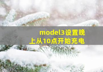 model3设置晚上从10点开始充电