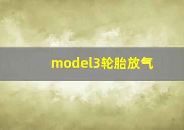 model3轮胎放气