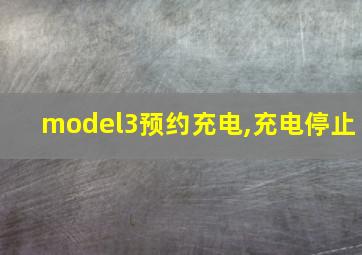 model3预约充电,充电停止