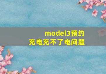 model3预约充电充不了电问题