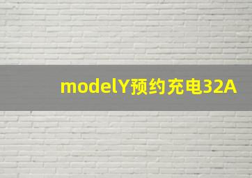 modelY预约充电32A