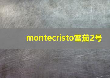 montecristo雪茄2号