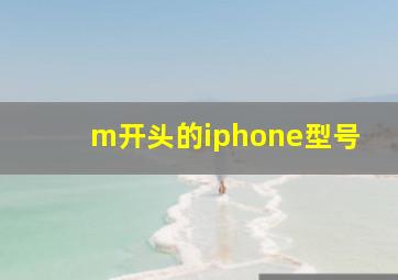 m开头的iphone型号