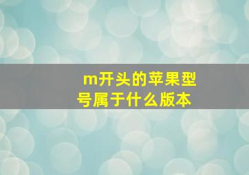 m开头的苹果型号属于什么版本