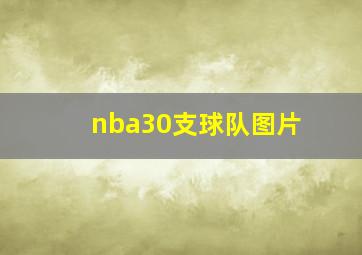 nba30支球队图片