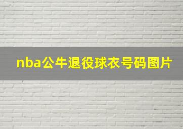 nba公牛退役球衣号码图片