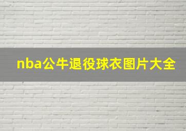 nba公牛退役球衣图片大全