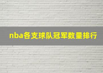 nba各支球队冠军数量排行