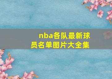 nba各队最新球员名单图片大全集