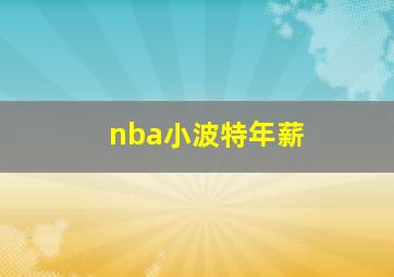 nba小波特年薪