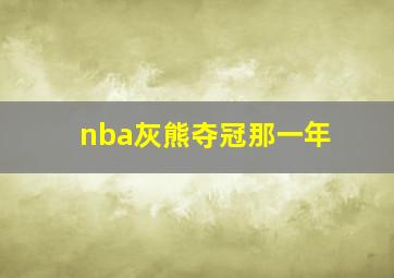 nba灰熊夺冠那一年