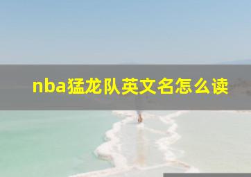 nba猛龙队英文名怎么读