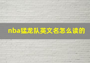 nba猛龙队英文名怎么读的