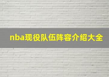 nba现役队伍阵容介绍大全