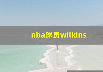 nba球员wilkins