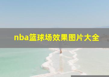 nba篮球场效果图片大全