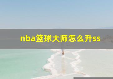 nba篮球大师怎么升ss