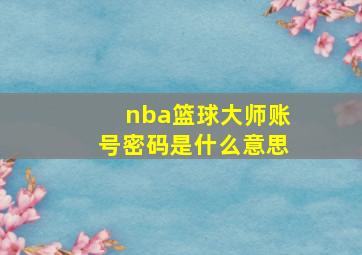 nba篮球大师账号密码是什么意思