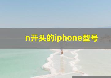 n开头的iphone型号