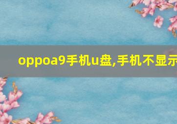 oppoa9手机u盘,手机不显示