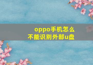 oppo手机怎么不能识别外部u盘