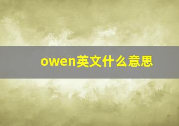 owen英文什么意思