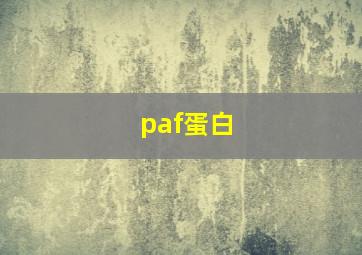 paf蛋白