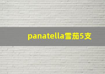 panatella雪茄5支