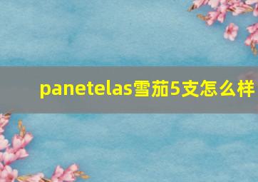 panetelas雪茄5支怎么样