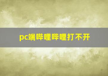 pc端哔哩哔哩打不开