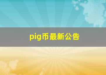 pig币最新公告