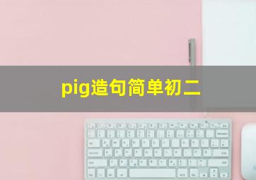 pig造句简单初二