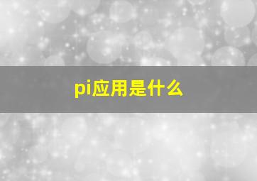 pi应用是什么