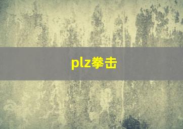 plz拳击