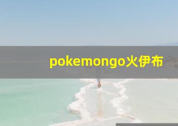 pokemongo火伊布