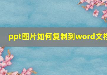 ppt图片如何复制到word文档