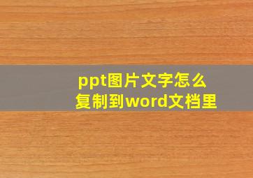 ppt图片文字怎么复制到word文档里