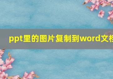 ppt里的图片复制到word文档