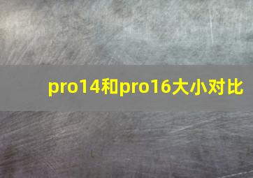 pro14和pro16大小对比