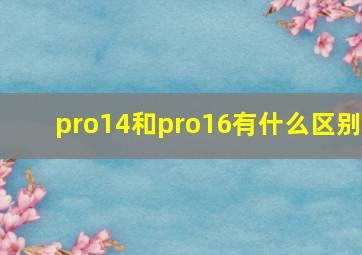 pro14和pro16有什么区别