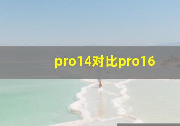 pro14对比pro16