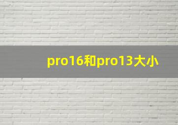 pro16和pro13大小